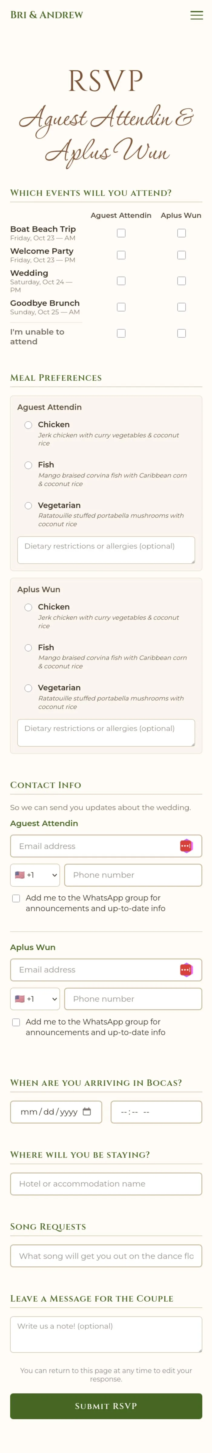 Bri & Andrew's Wedding Website — mobile screenshot